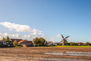 Feuchtes Maisstoppelfeld mit Mühle De Windvang, Goedereede