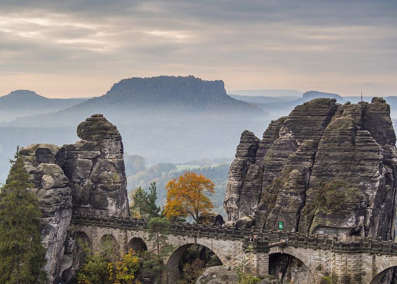 Brouillard sur le Bastei dans les montagnes de grès de l'Elbe par Animaflora PicsStock