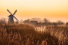 Morgendämmerung an der Noordermolen in Kardinge (Groningen) von Mariska Stam