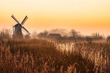 Morgendämmerung an der Noordermolen in Kardinge (Groningen)