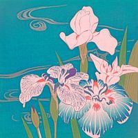 Irises against turquoise background