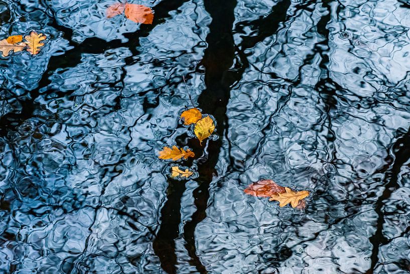 Drijvende herfstbladeren; reflecterende bomen van Bep van Pelt- Verkuil