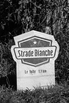 Strade Bianche Stein Le Tolfe schwarz-weiß