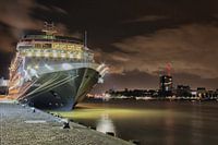 Cruiseschip in Rotterdam