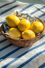 Lemon basket by Poster Art Shop