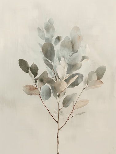 Minimalisme botanique, wabi-sabi