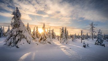 Fantastic winter weather with sunshine by Steffen Henze
