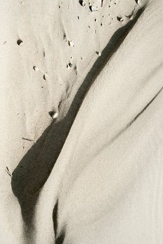 Zand Wind en Water 2 Basic Japandi in Beige.