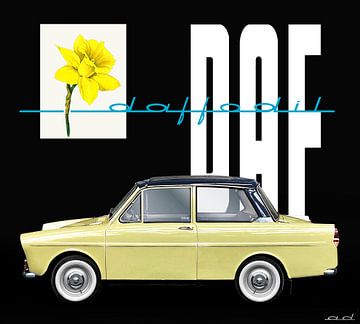 DAF 31 daffodil van Ad Hermans