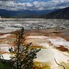 Mammoth Hot Springs von Christiane Schulze