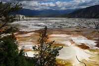 Mammoth Hot Springs
