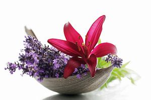Lavendel Blüten und Lilien Blumen Stillleben
