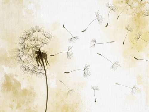 Vom Wind geblasener Löwenzahnflaumball