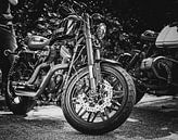 Harley Sportster Porträt von Westland Op Wielen Miniaturansicht