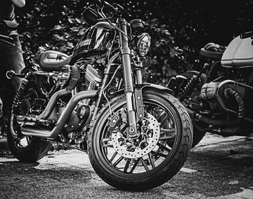 Harley Sportster portret van Westland Op Wielen
