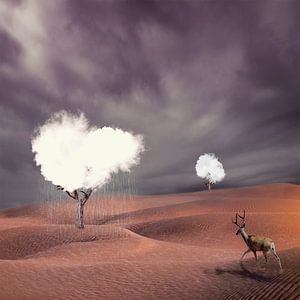 Die Entdeckung