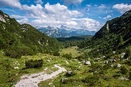 Fairy Tale Slovenie van Reisverslaafd