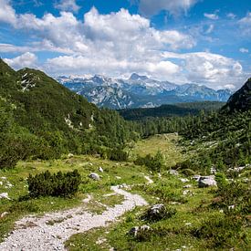 Fairy Tale Slovenie van Reisverslaafd