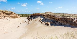 The hidden dune by Rob Donders Beeldende kunst