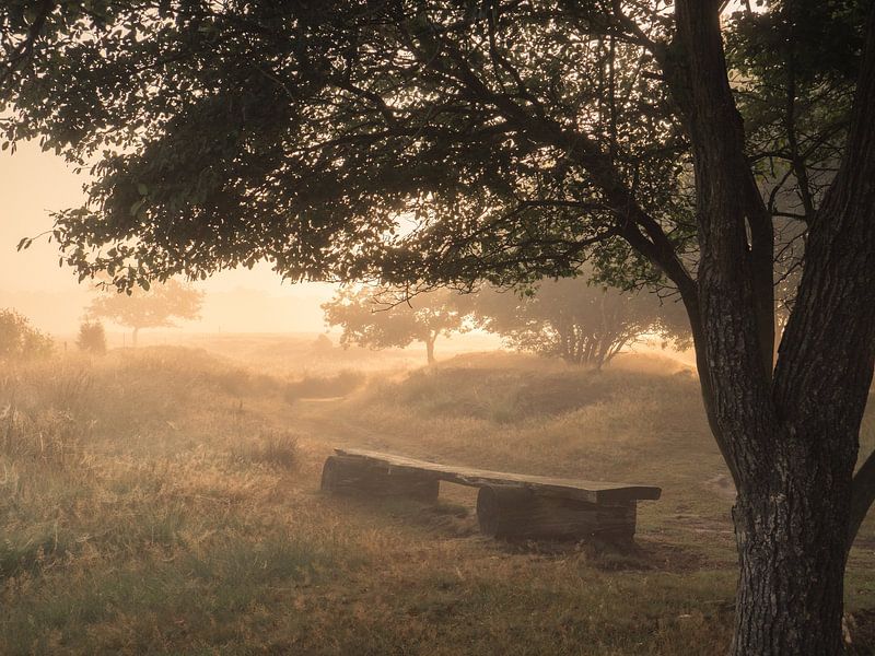 morning bench by snippefotografie