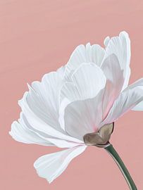 Camélia blanc délicat sur fond rose pâle sur Mosaic Dialogue