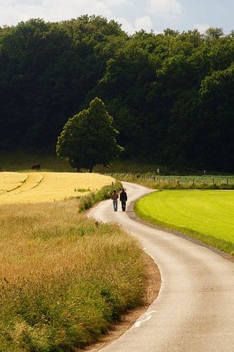 Wandeling in Zuid Limburg