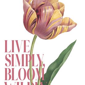 Live Simply by Marja van den Hurk