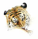 Siberische tijger van Bianca Snip thumbnail