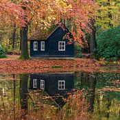 petra van oorschot Profilfoto