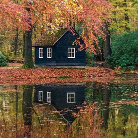 petra van oorschot Profilfoto