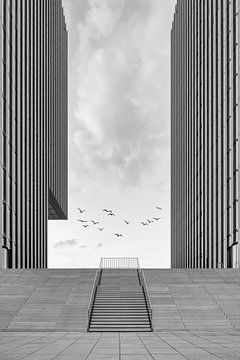 Hafenspitze Düsseldorf schwarz-weiß von Michael Valjak