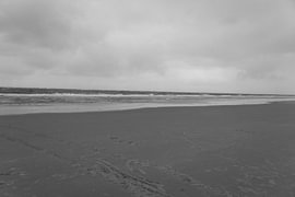 Bilder von der ostfriesischen Nordseeinsel Langeoog. von Bianca Meyering Fotos - BMF