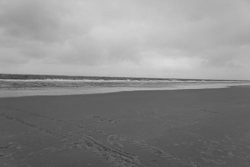 Foto's van het Oost-Friese Noordzee-eiland Langeoog.