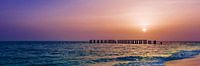 Gasparilla Island Sunset | Panorama van Melanie Viola thumbnail