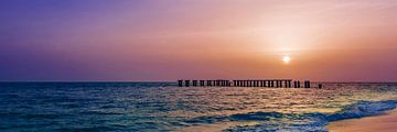 Gasparilla Island Sunset | Panoramic View by Melanie Viola