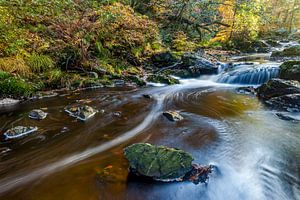 Autumn River