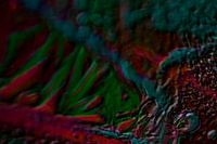 Abstract Ice