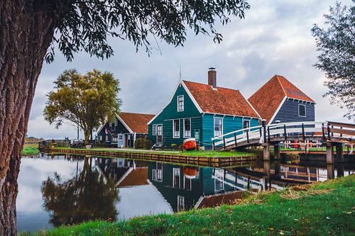 Ferme fromagère Zaanse Schans II