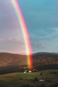 Rainbow by Isa V