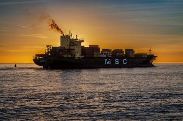 MSC containerschip Santhya Vlissingen van MSP Canvas