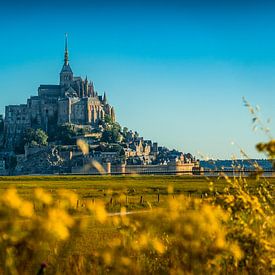 Le Mont Saint Michel von Lex van Lieshout