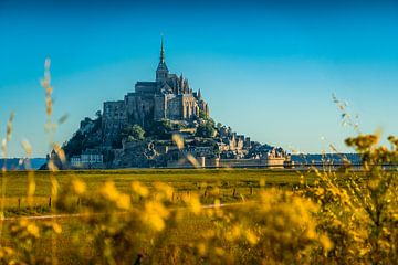 Le Mont Saint Michel van Lex van Lieshout