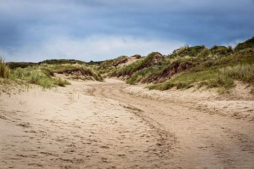 Réserve naturelle De Slufter sur Texel