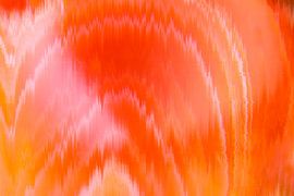 Apricot agate by Monika Scheurer