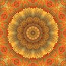 Mandala licht van Marion Tenbergen thumbnail