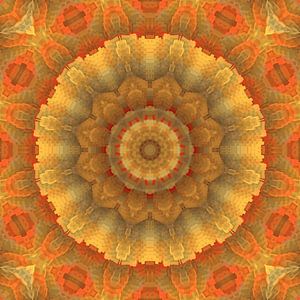 Mandala Licht