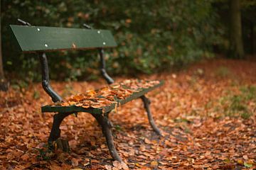 Rustmoment in de herfst van Margreet Piek