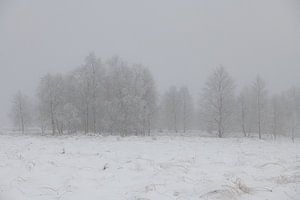 Winterspaß im Hohen Venn