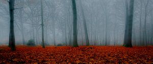 Wald im Nebel von Remko Ongersma