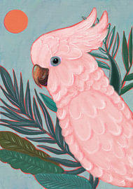 Pink Tropical Cockatoo by Katarzyna Gąsiorowska